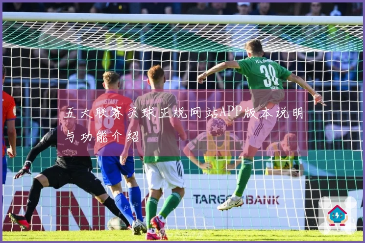 五大联赛买球正规网站APP版本说明与功能介绍