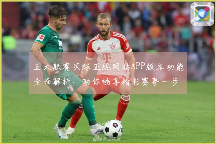 五大联赛买球正规网站APP版本功能全面解析，助你畅享精彩赛事一步到位